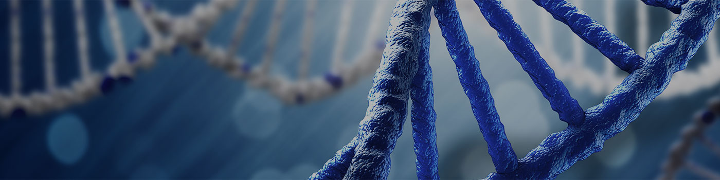 CEFObio is the progressive company with steady growth.