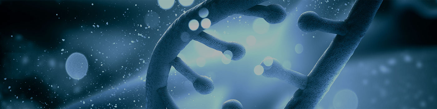 CEFObio is the progressive company with steady growth