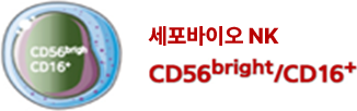 DR-NK
